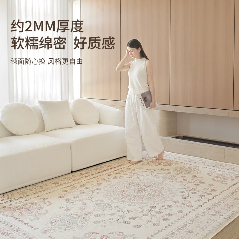 可机洗地毯客厅2026新款沙发卧室地垫家用可拆洗复古法式高级无胶