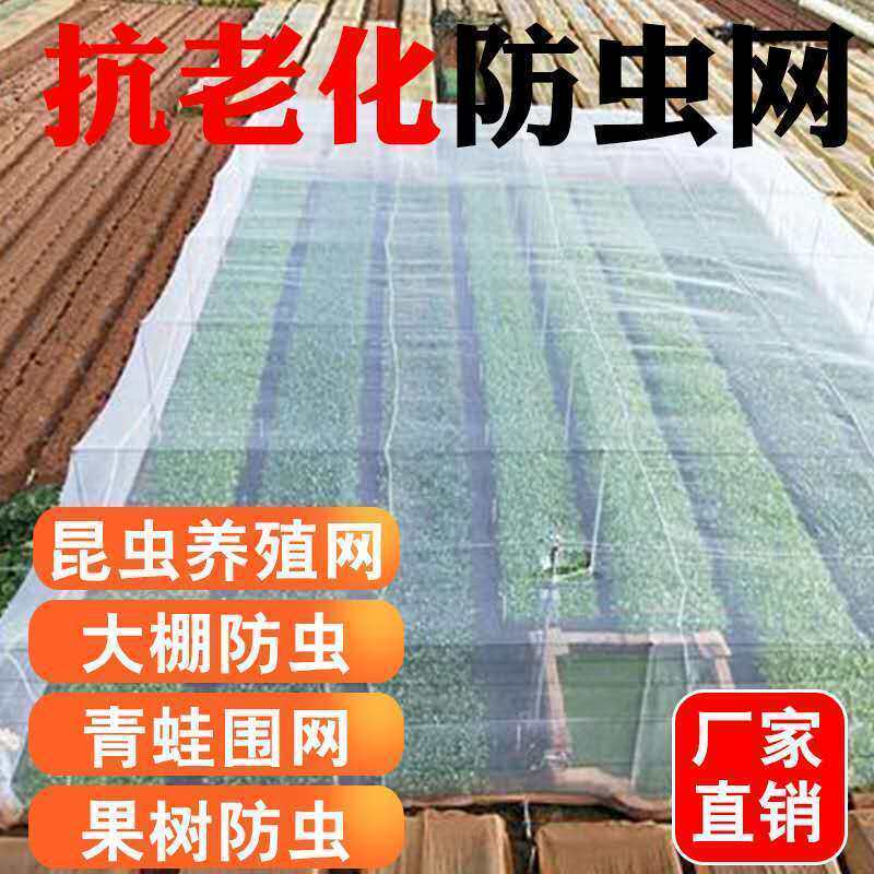 。青蛙养殖围网防逃尼龙纱网牛蛙20目40目食台网农用大棚蔬菜防虫