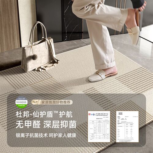 2026轻奢入户门地垫新款门口地毯免洗防滑脚垫家用入门可裁剪门垫