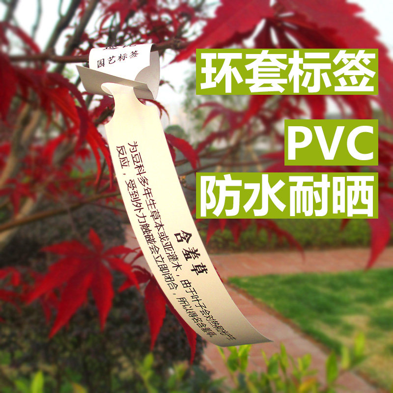 PVC防水园艺标签塑料树苗吊卡苗木吊牌环套花卉植物挂牌影印纸