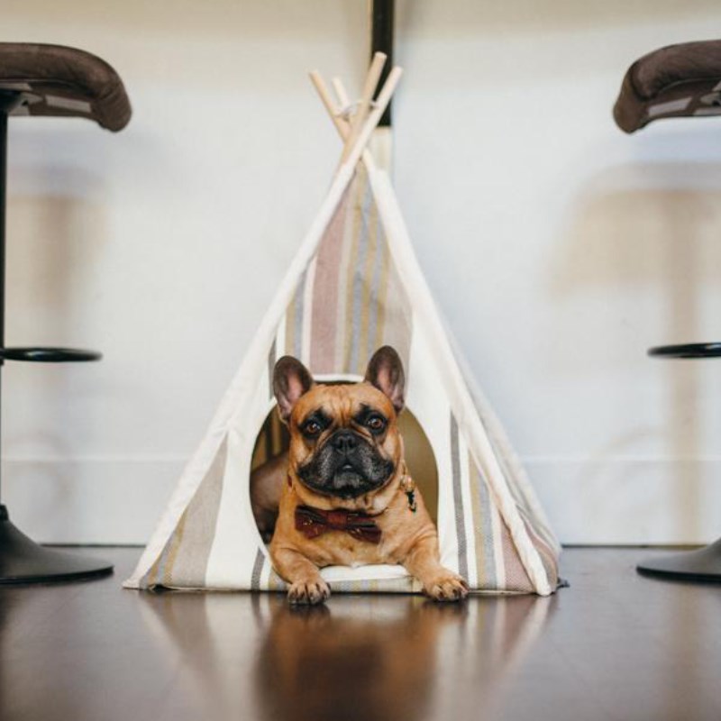 现货 宠物帐篷 美国PLAY 简约家居宠物猫狗窝垫 小型犬 英短