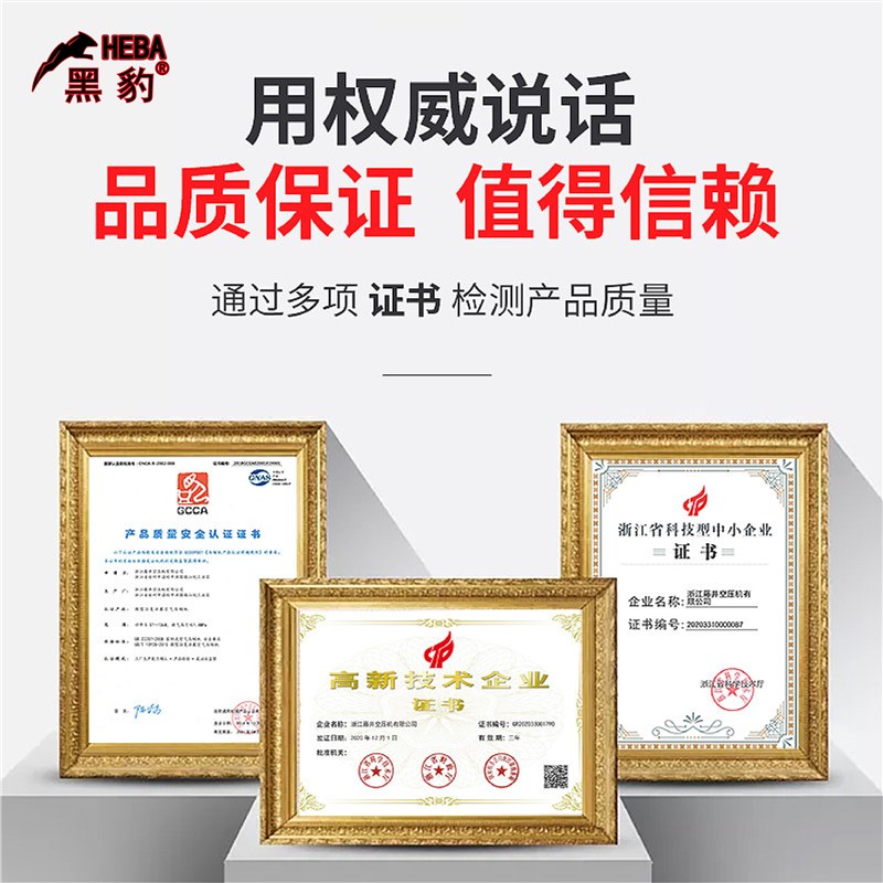 黑豹空压机工业级220V高压气泵空气压缩机螺杆式铸铁自动停机智能