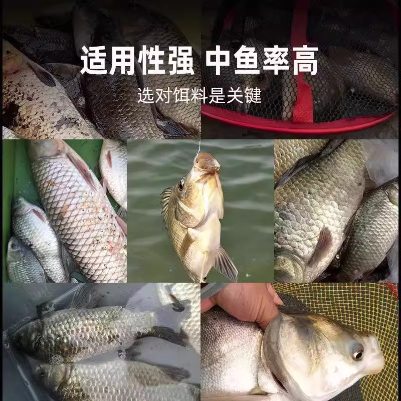 鱼饵方块饵料鱼食鱼料窝料翻板钩鲶鱼红虫饵料野钓钓鱼鲢鳙爆炸钩