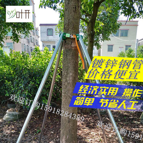 镀锌钢管树木支撑架防风树木支撑杆紧带式固定器园林绿化