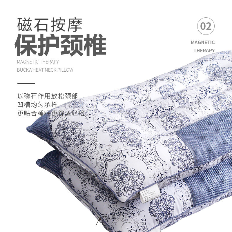 决明子枕头双人护颈椎助睡眠枕芯一对装家用带枕套硬不塌陷不变形