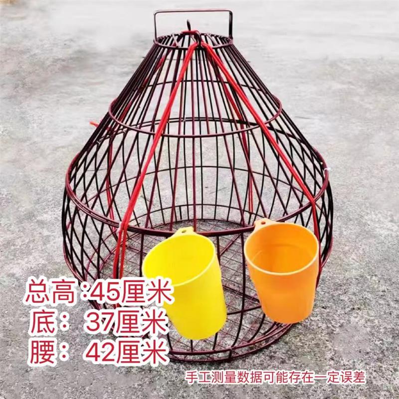 (婚媒)养鸡笼 结婚鸡笼宠物鸡观赏鸡笼