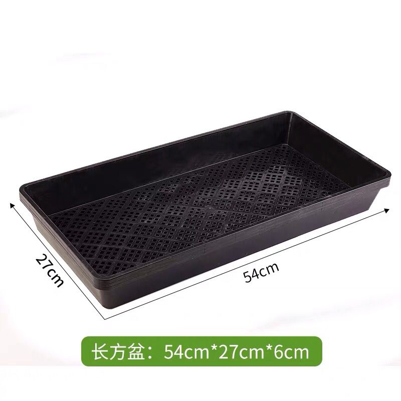 长方形加厚芽菜育苗盘穴盘芽苗菜托盘多肉育苗盒发豆芽箱种植盆