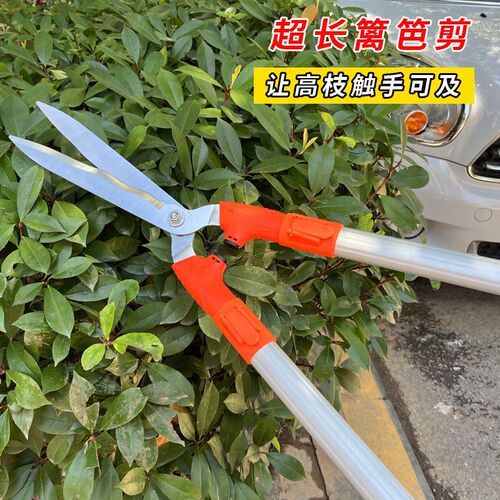加长花剪修枝剪草坪剪绿篱剪果树剪园林修剪树枝伸缩灌木园艺剪刀