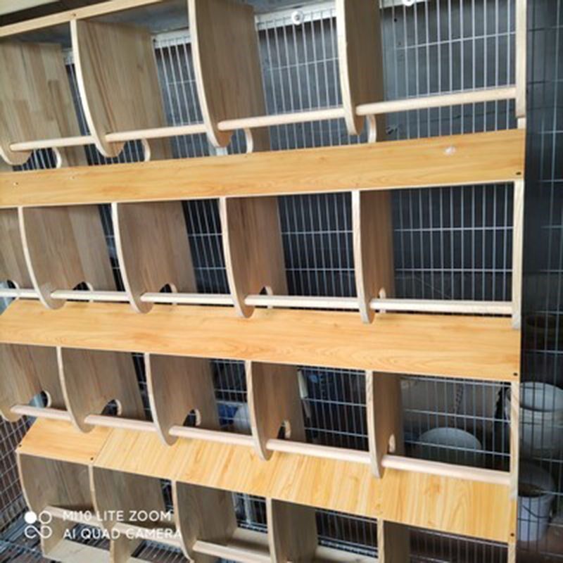 鸽子用品用具赛鸽公棚站架信鸽实木组合栖架寄养棚站架鸽舍休息架