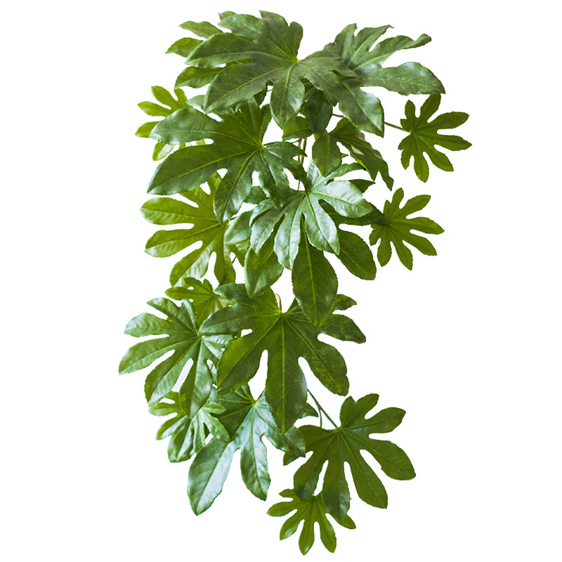 掬涵 八角金盘叶大型仿真绿植壁挂花艺插花工程装饰墙面绿植墙