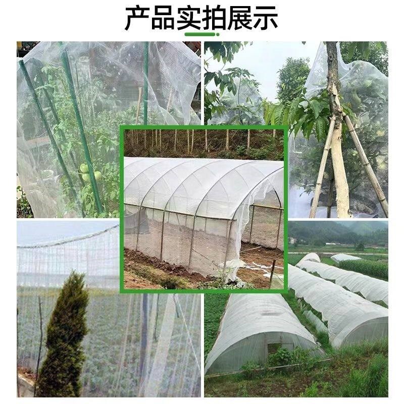 防虫网大棚种菜农用防虫网果树防鸟网场猪场防蚊苍蝇网加密加厚网