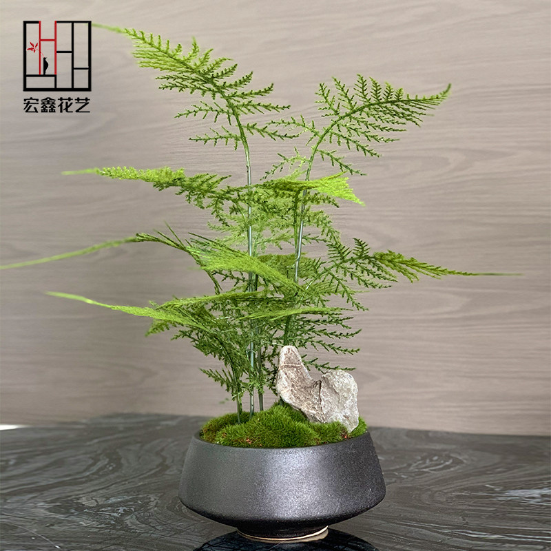 新中式花艺仿真绿植盆景样板房客厅售楼处玄关植物仿真文竹盆栽