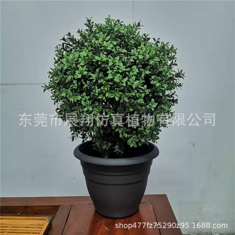彷真黄杨木杨梅叶圣生白蒂树枝假果枝福禄桐叶室插花摆件花卉景观