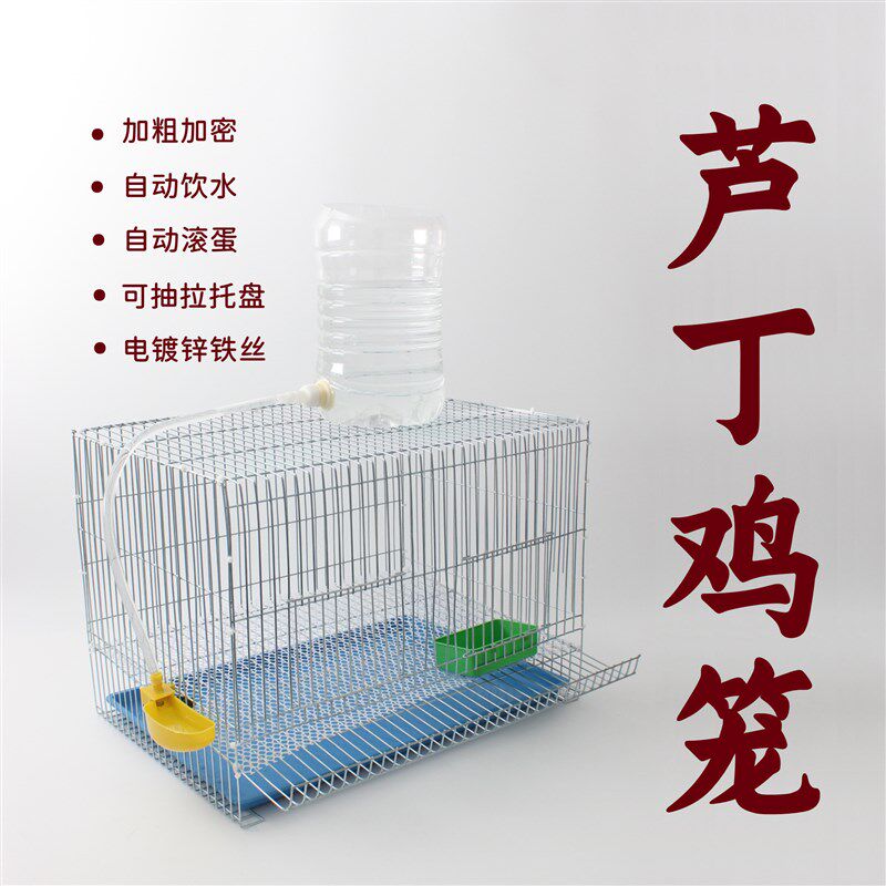 芦丁鸡下蛋笼镀锌铁丝网饲养笼自动饮水滚蛋清粪小鸡笼家用养殖笼