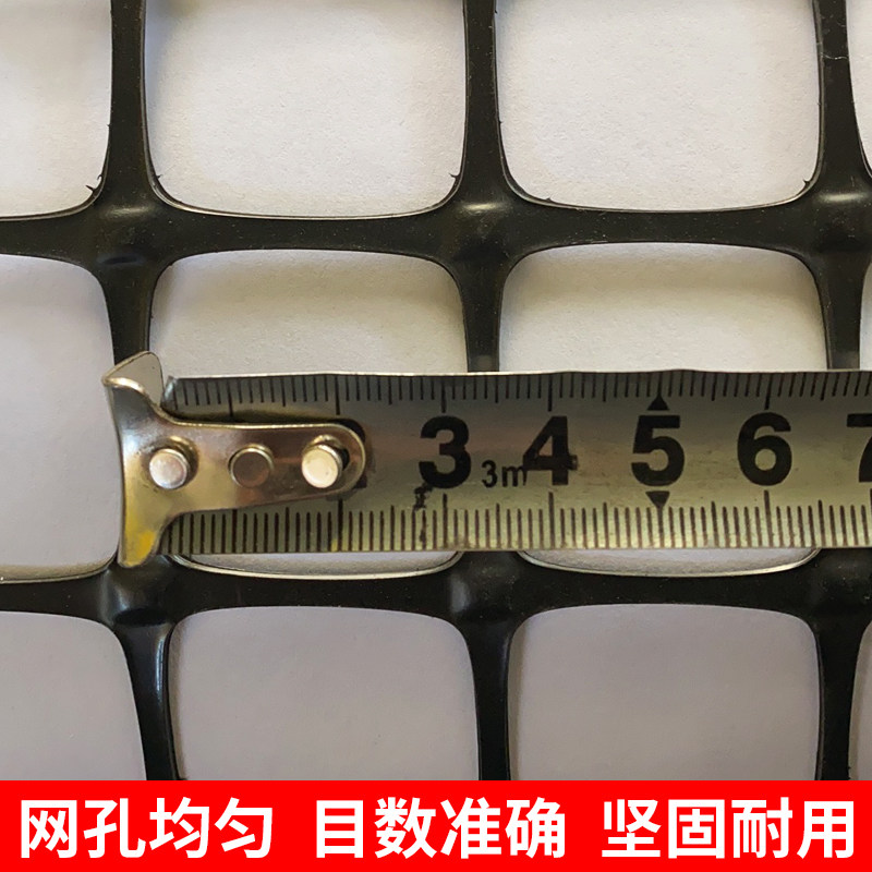 土工格栅塑料小孔网格防护网养鸡围栏拦鸡养殖栅栏隔离护栏网家用