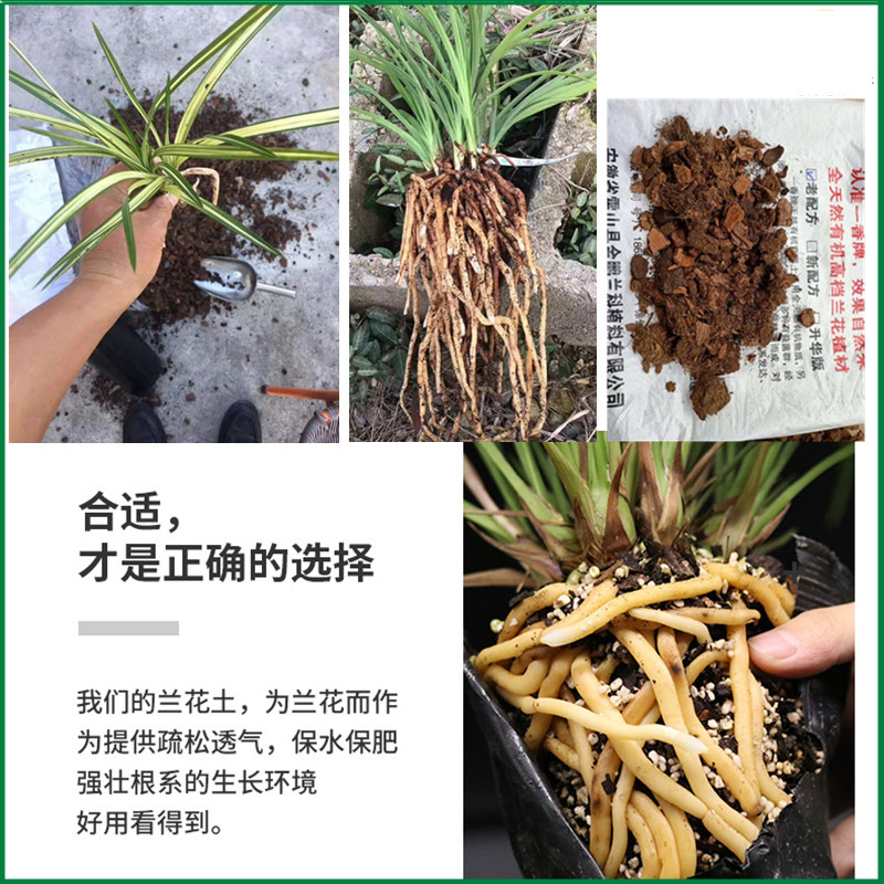 一香牌兰花土高档兰花石斛透气种植植料老配方香土营养土天然有机
