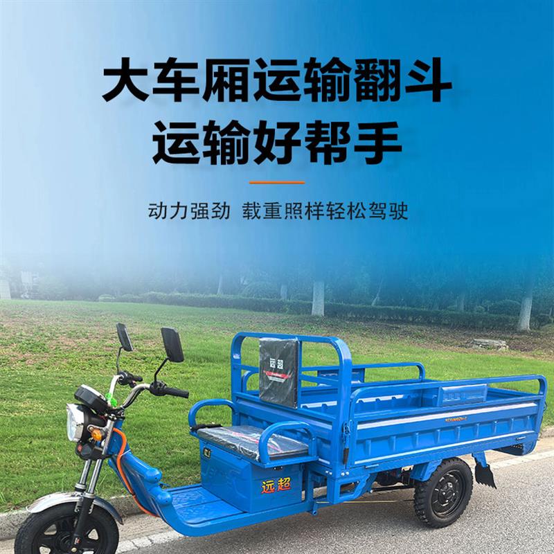 电动三轮车拉货载重王三轮电动电瓶车家用大型农用三轮车摆摊快递