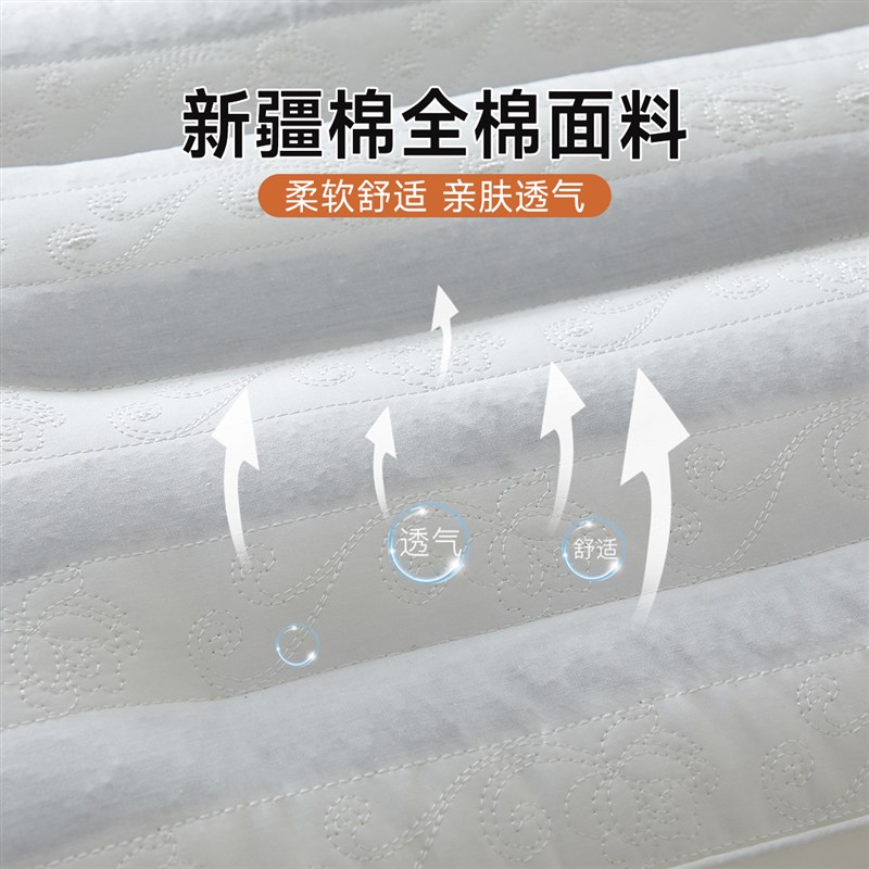 决明子枕头护颈椎深度助睡眠软硬两用不塌陷荞麦枕芯一对家用宿舍