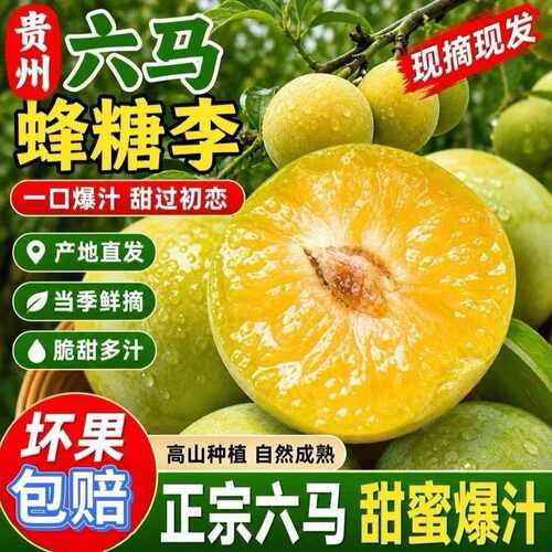 正宗贵州镇宁六马蜂糖李