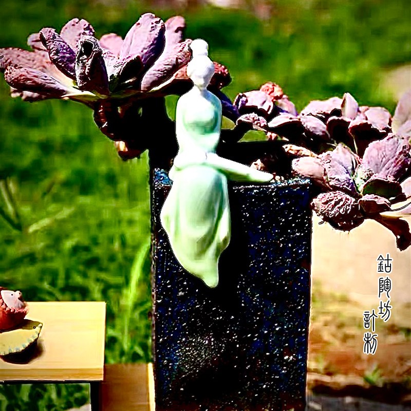 小方盆金子塔大气小盆景花盆复古多肉兰花轻奢高级感家用小口径盆