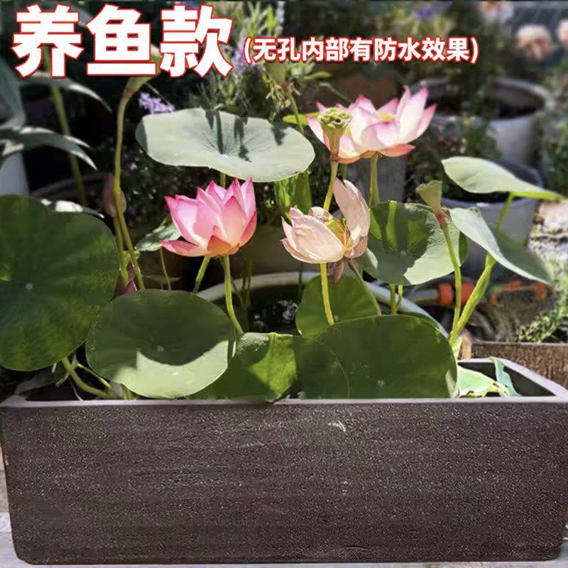 宜兴紫砂花盆粗陶长方形花盆水培F盆别墅庭院古法养鱼陶瓷鱼缸