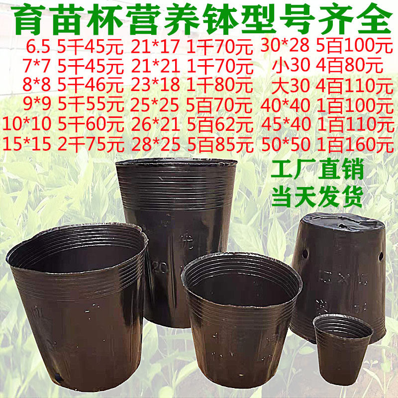 营养钵 育苗营养杯 塑料育苗盆一次性黑色软草花盆 营养袋 营养盆