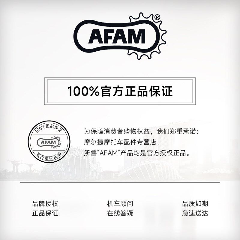 AFAM牙盘钱江赛600赛350追600追350大小飞前后链轮齿轮RK链条改装
