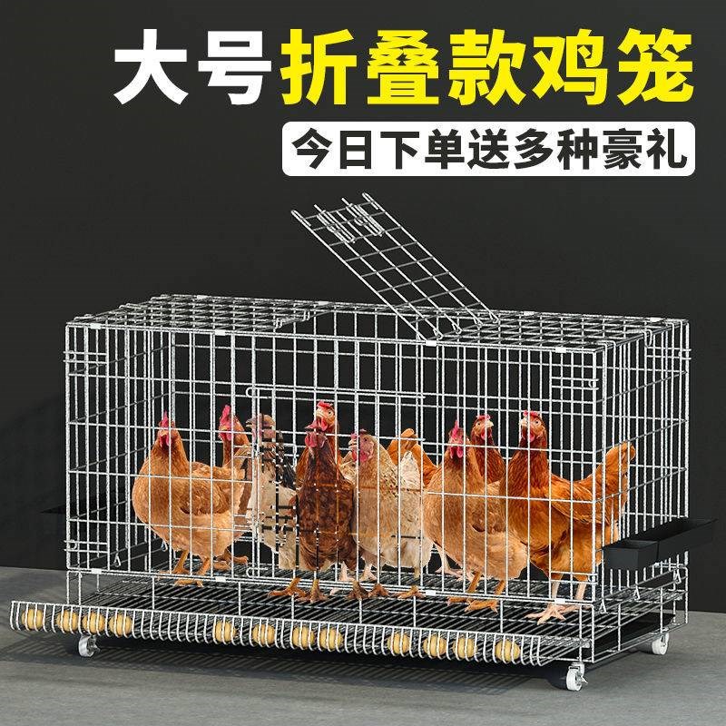 鸡笼子特大号加粗特价家用养殖笼自动滚蛋母鸡笼可折叠铁笼子包邮