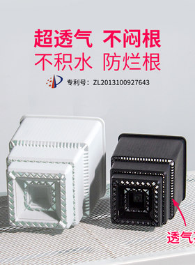 美莳蝴蝶兰专用花盆方形透气超陶瓷塑料育苗杯子文心兰石斛控根盆