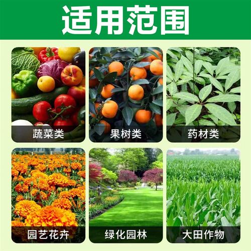 磷酸二氢钾有机肥料花卉专用正品农用养植物盆栽磷钾肥水溶Y开花