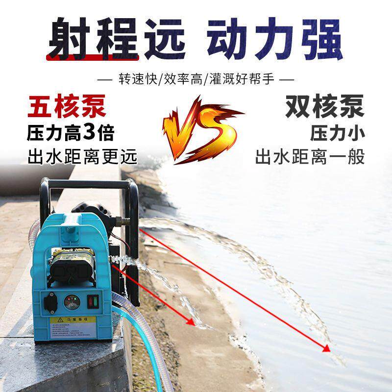 大功率充电浇菜水泵户外农用灌溉抽水机12V高压水泵大流量抽水泵