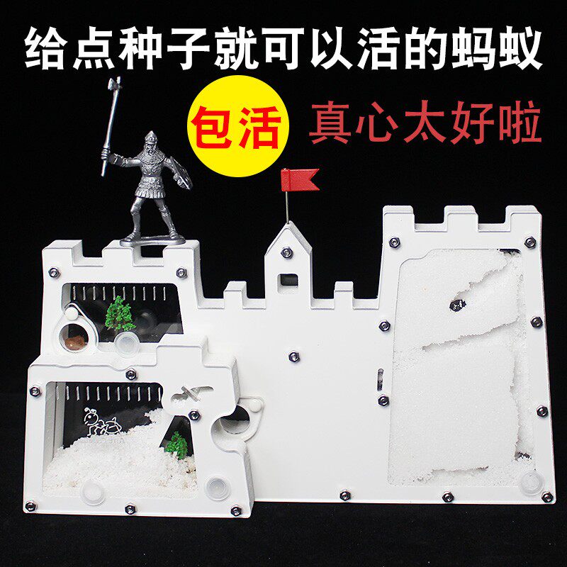 正品蚂蚁城堡套餐工坊送收获蚁后配件学生观察生态箱巢窝笼子活物