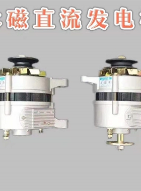 纯铜12v发电机农用车三四轮拖拉机永磁交直流改装电机24v单头JF11