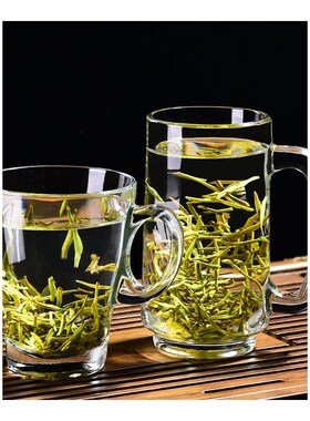 Ocean进口玻璃茶杯泡茶杯带把套装家用待客水杯加厚大容量喝绿茶
