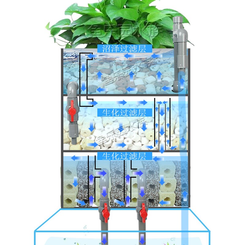 鱼缸鱼池乌龟沼泽过滤 鱼菜共生自制周转箱循环生态系统 饲养箱