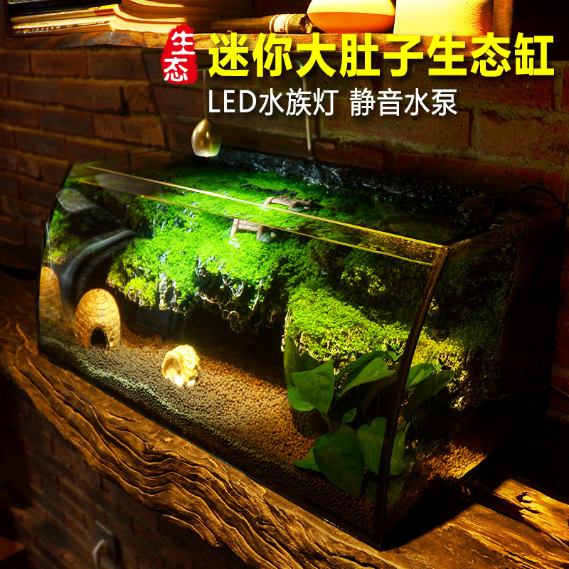小鱼缸生态桌面鱼缸水族箱迷你客厅小型创意鱼缸办公室mini水族箱
