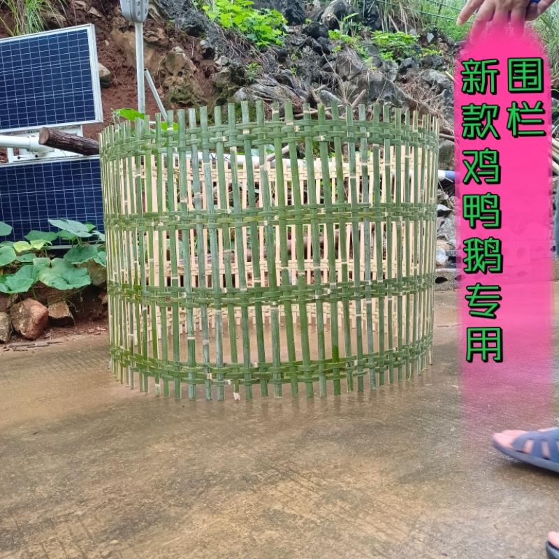 竹编鸡围栏围网围挡围墙篱笆竹编围鸡鸭围栏竹围栏鸡围栏耐用