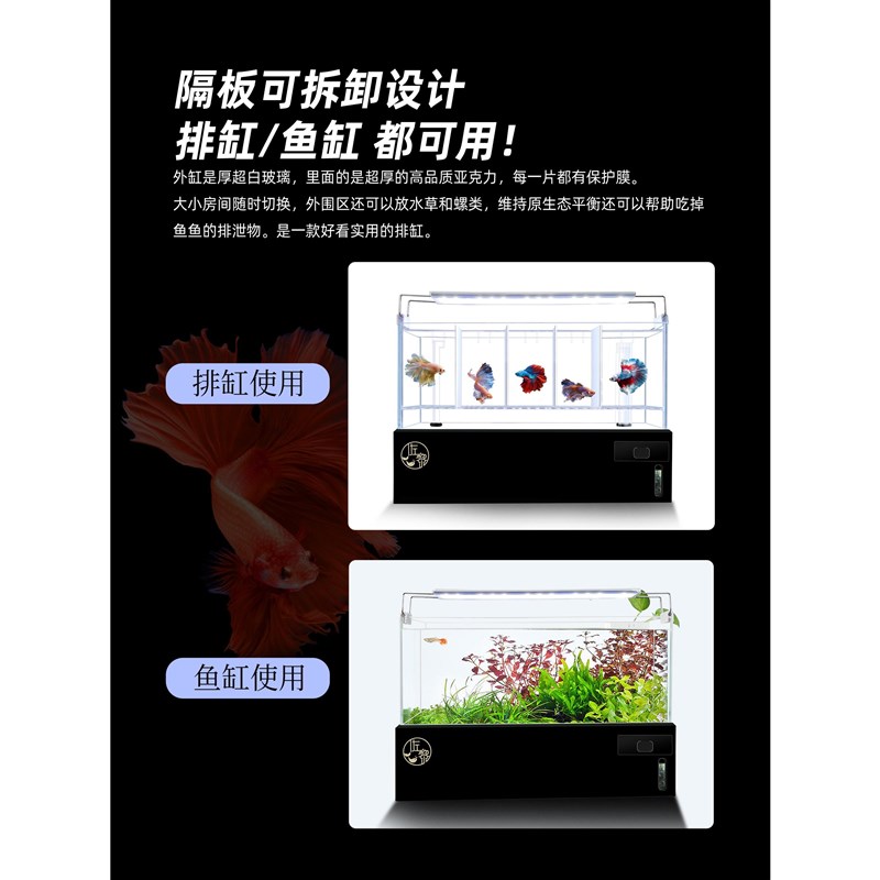 斗鱼排缸泰国专用玻璃缸多格底过滤整套组缸系统缸懒人鱼缸免换水