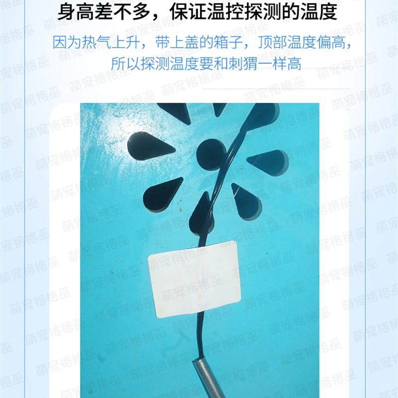 包邮刺猬自动温控器 蜥蜴爬箱控温设备控制加热温度器