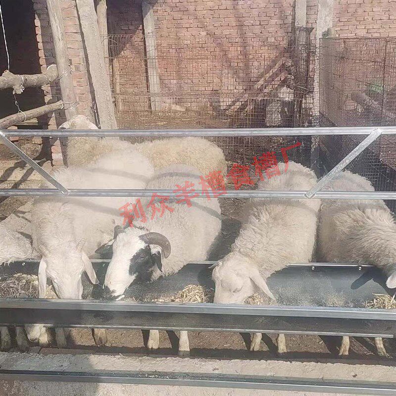 单面羊槽带围栏羊食槽家用养羊带架子养殖专用料槽橡胶输送带槽子