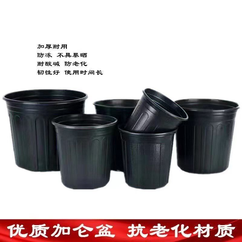 黑色加仑盆软塑料花盆加厚营养钵育苗盆简易苗圃花盆种植盆培育盆