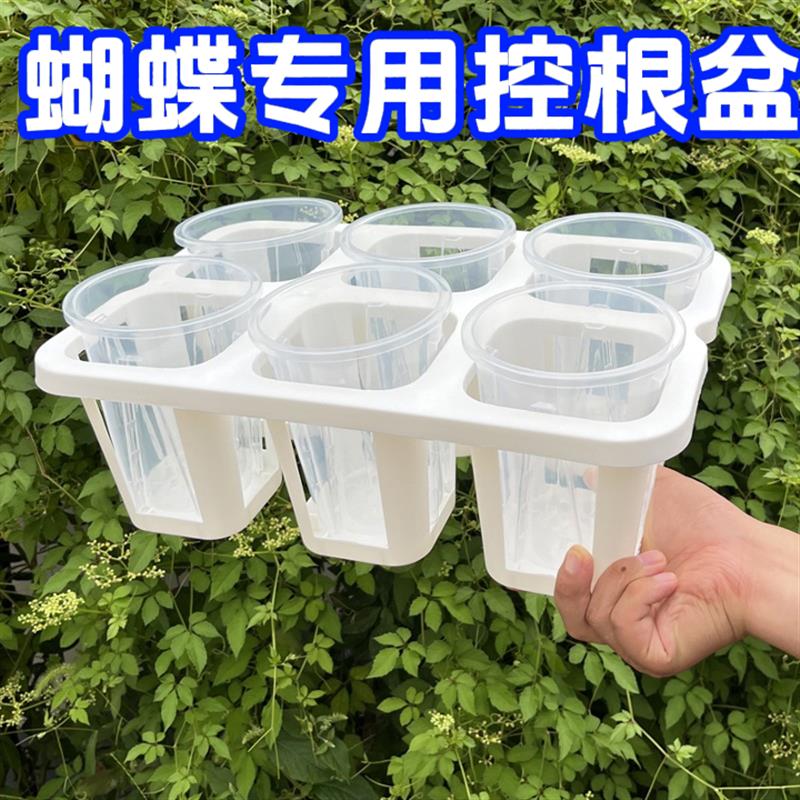 蝴蝶兰组合盆托架铁皮石斛苗兰花专用控根花盆架带孔透气定植盆图片