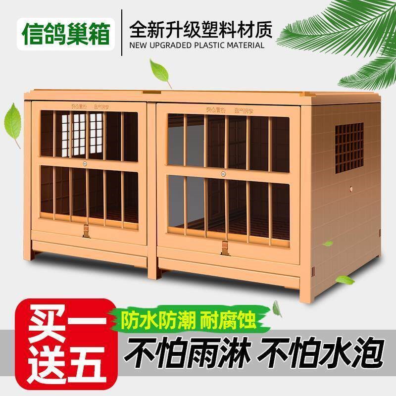 鸽子配对笼信鸽组合巢箱家用养殖新款鸽子笼塑料鸽子笼子鸽具用品
