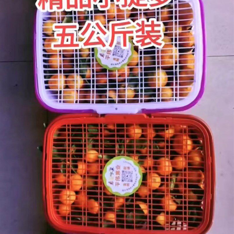 包邮1-12斤草莓杨梅无花果葡萄篮鸡蛋水果篮采摘篮可配盖卡扣设计