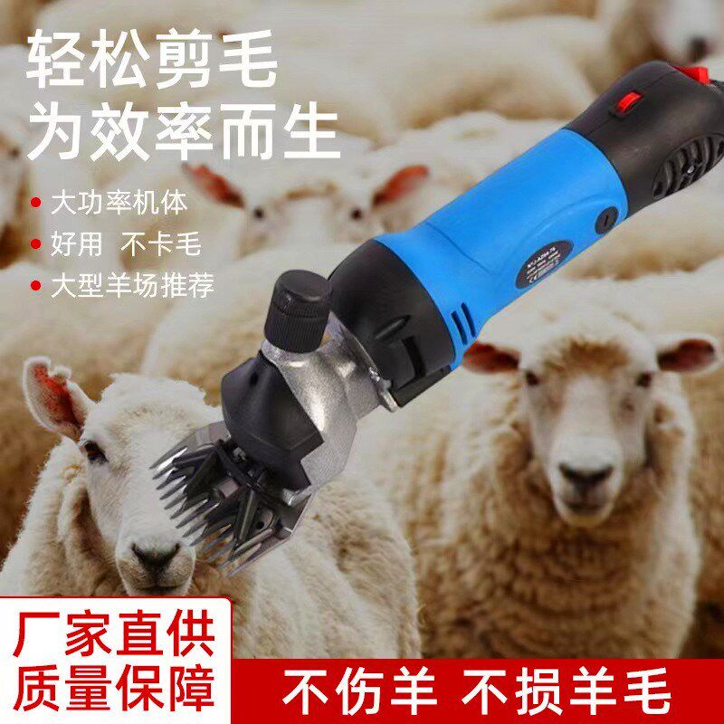 大功率绒山羊电动推剪专业剃羊毛马毛牛毛大型犬调速全羊通用剪毛