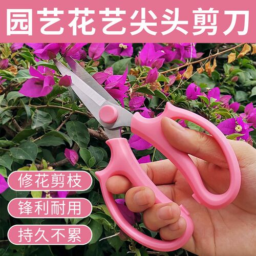 园艺剪刀家用剪树枝剪花剪纸专用剪刀修剪剪刀手工花艺剪刀修枝剪