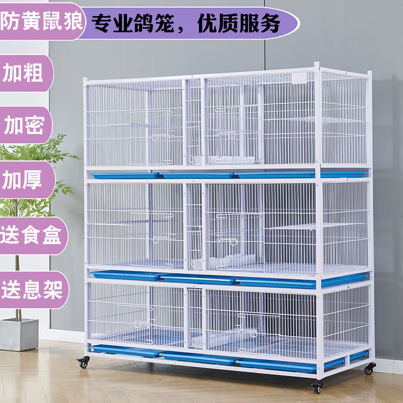 精品鸽笼加粗加密间距鸽子笼配对笼信鸽笼鸡笼鸽大号防老鼠黄鼠狼
