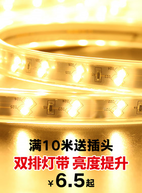 ed灯带客厅吊顶超亮装饰贴片家用长条灯条220v室内线灯