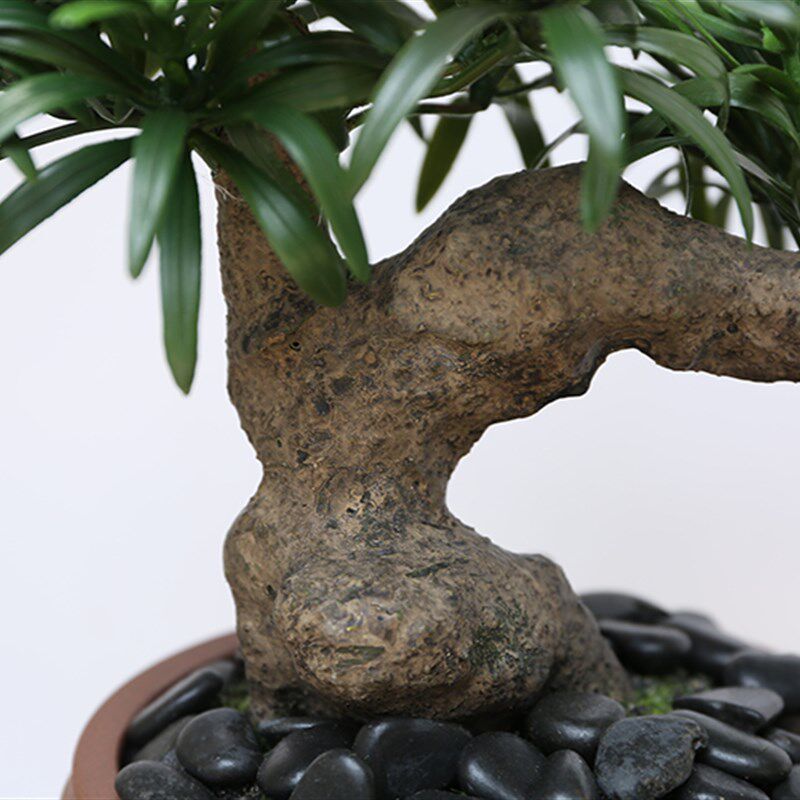中式仿真迷你罗汉松树绿植盆景餐桌办公桌书房书桌茶室摆件玄关