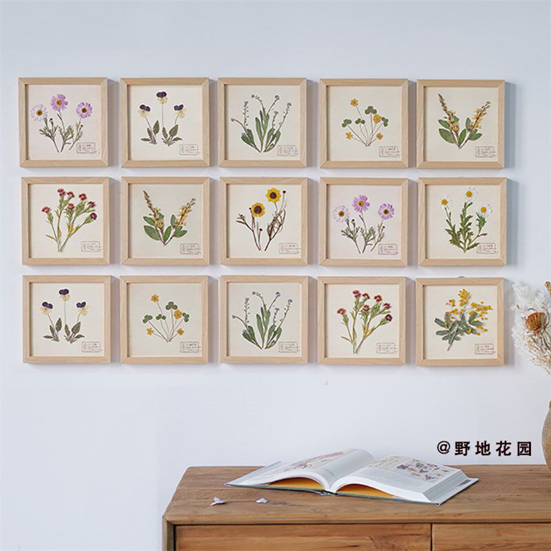 简约花卉植物标本装饰画照片墙相框挂画组合墙书房儿童房样板间